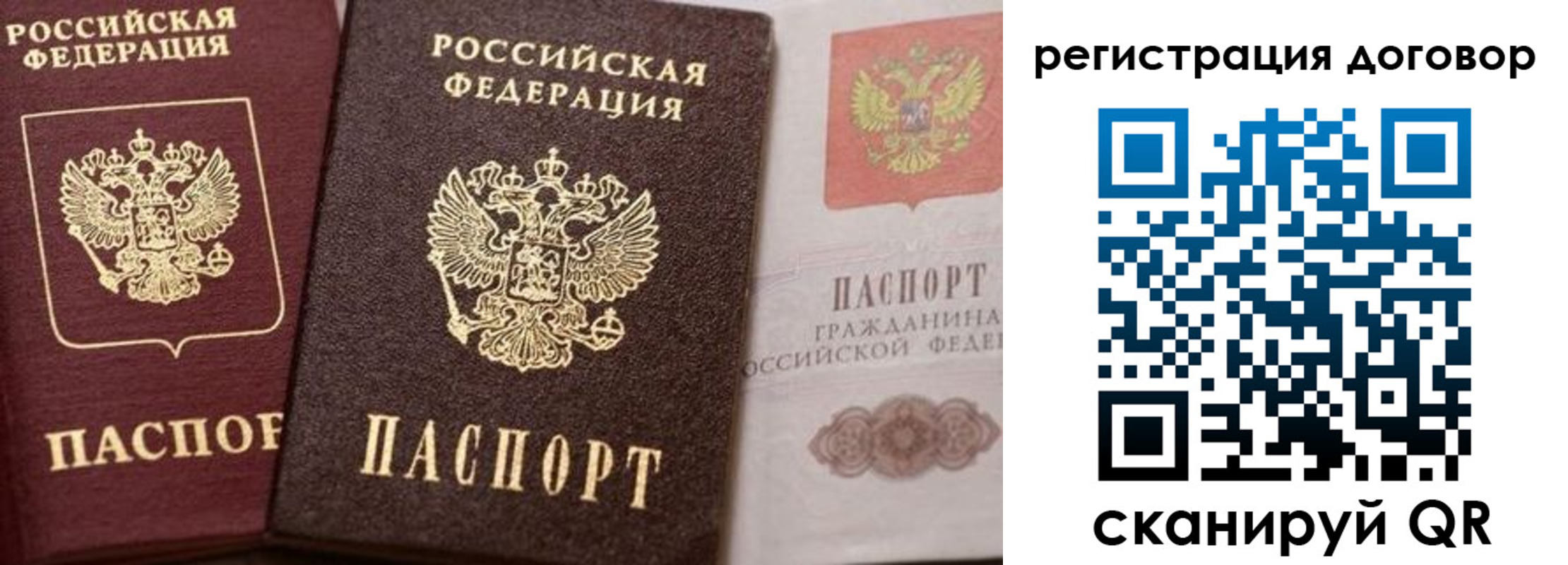 прописка 2025 в Барыше